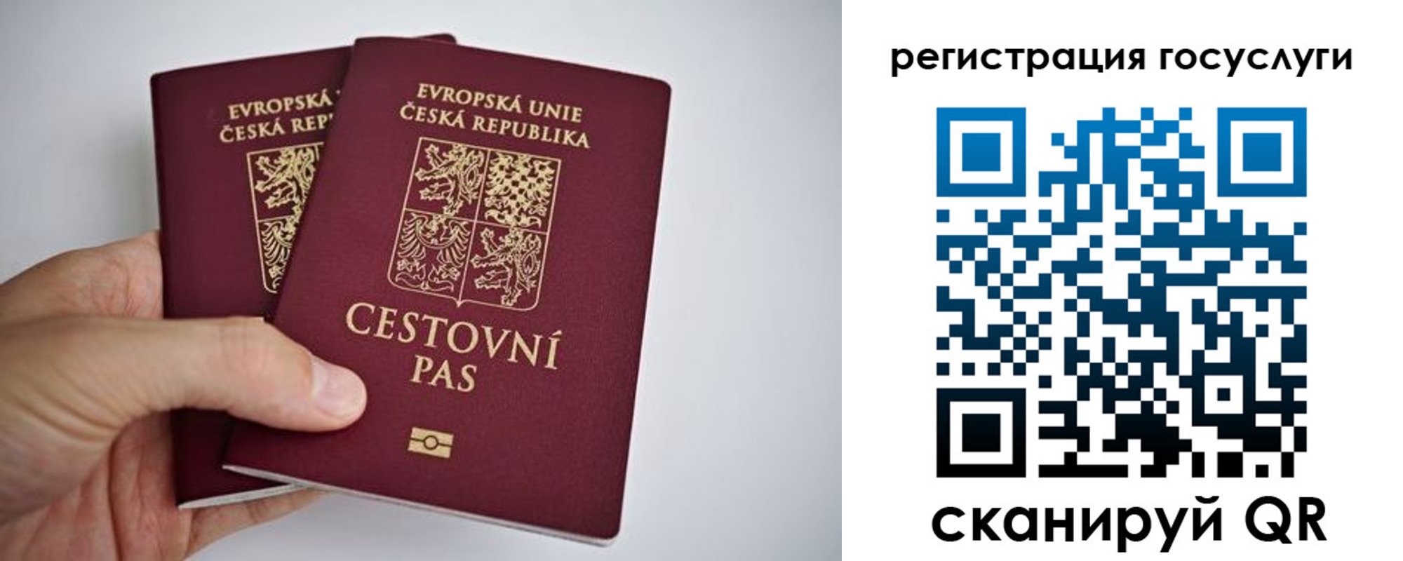 временная регистрация в Энгельсе